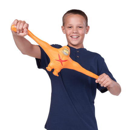 193052079084