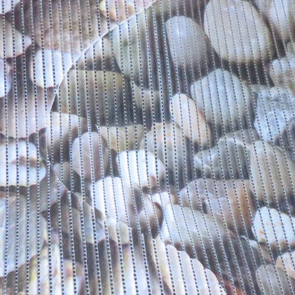 2100510980958