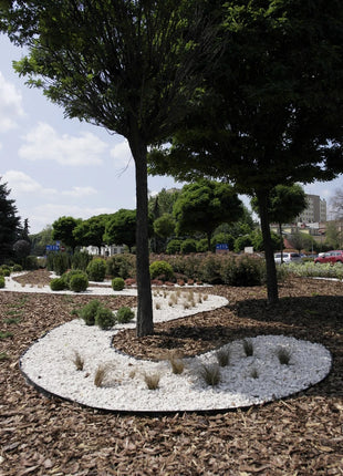 2190000969792