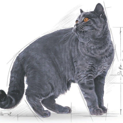 3182550756419