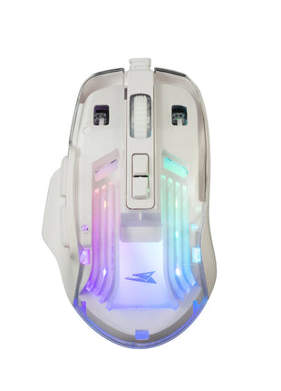 3858894505524