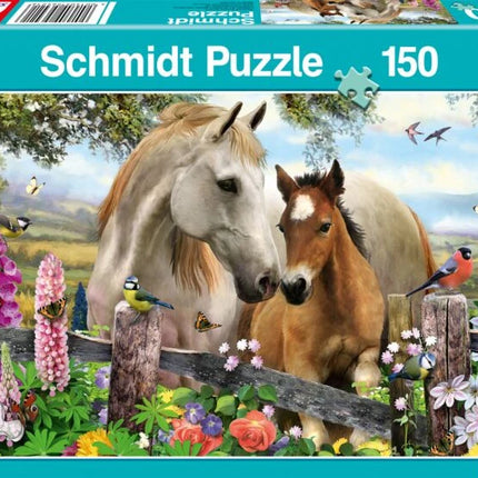 4001504564216