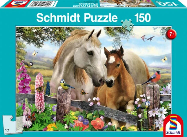 4001504564216