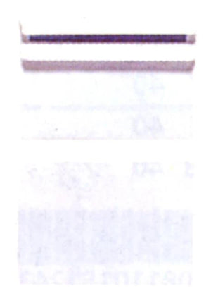 4008110768618