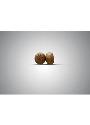 4032254785811