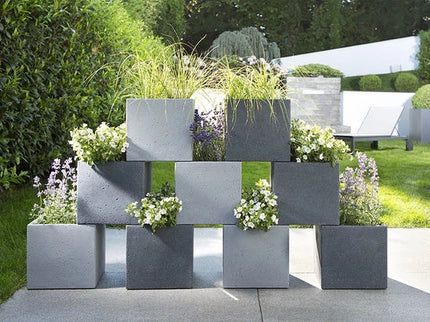 4033083558225