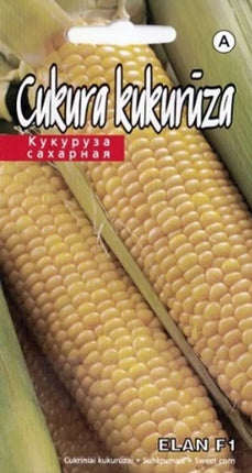 4750128124596