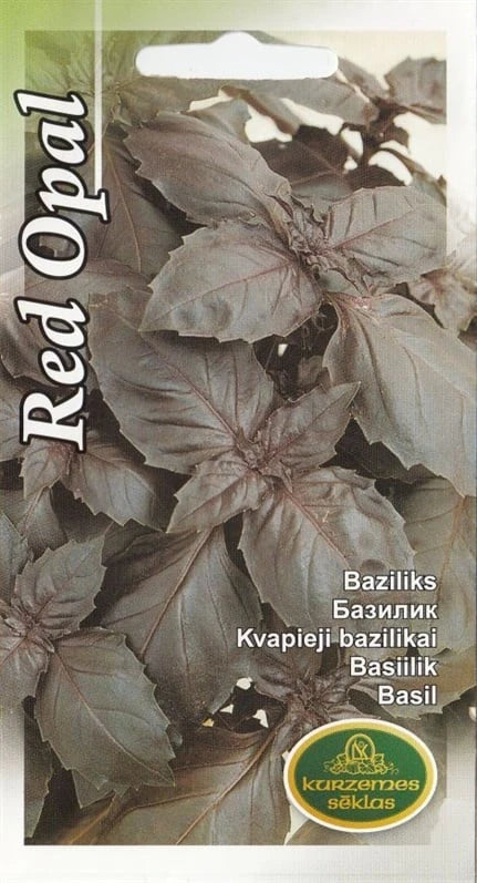 4750128210473