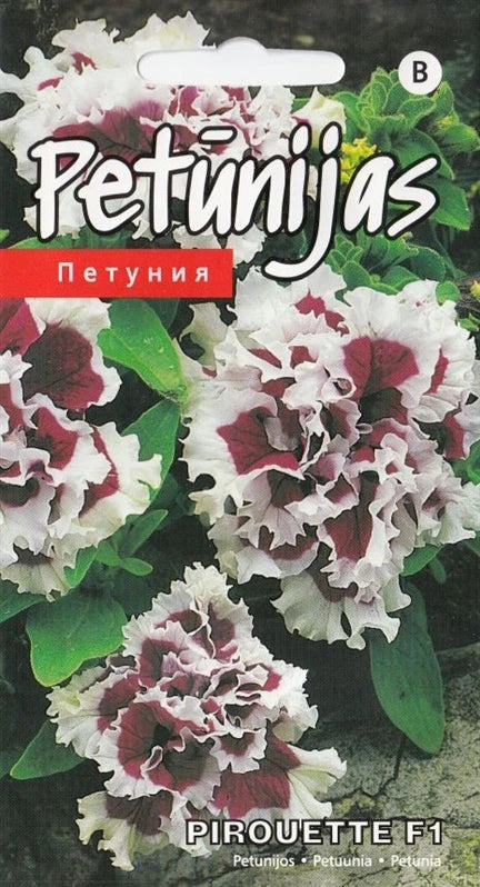 4750128414017