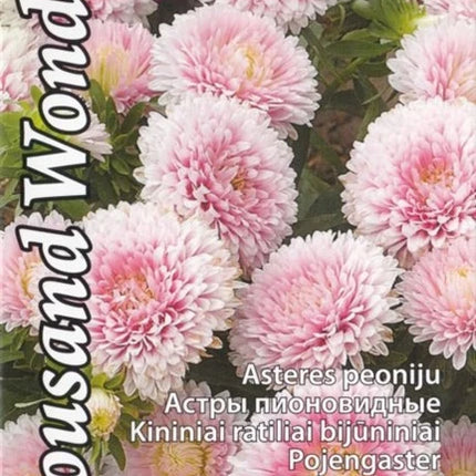 4750128414987