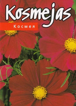 4750128415250