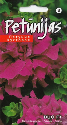 4750128415403