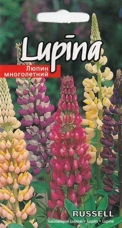 4750128430062