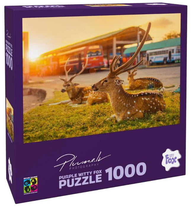 4751010199111