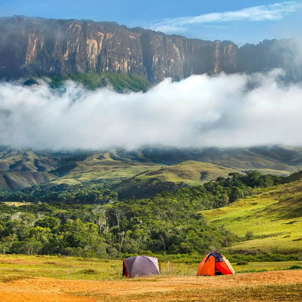 4751010199166
