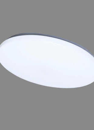 4772007006786