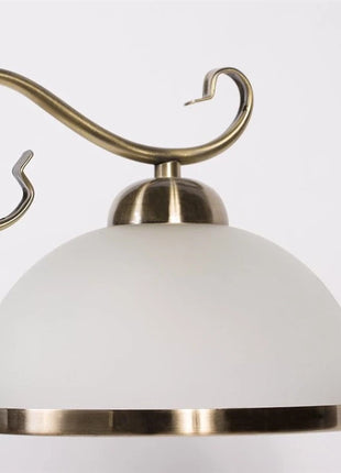 4772013171102