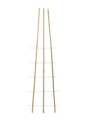 4772013457176