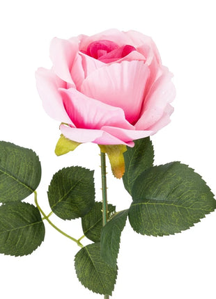 4772013464723