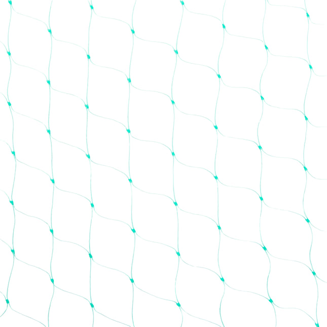 4772013466970