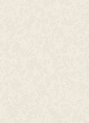 4824001681084