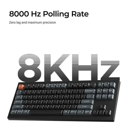 4894979026651