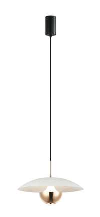 5201769111166