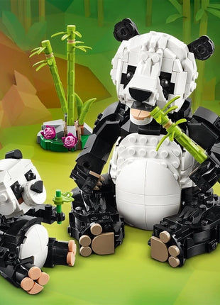 5702017822402