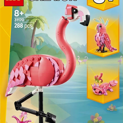 5702017822457
