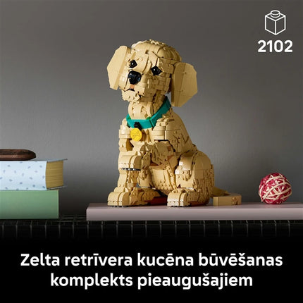 5702018063651