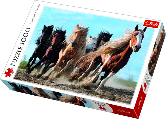 5900511104462