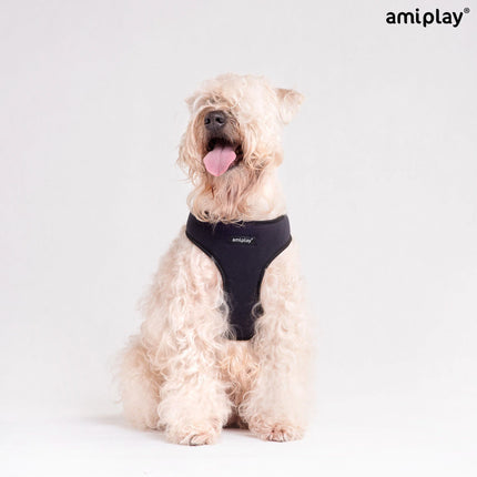 5907563249080