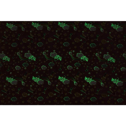 6410416408958