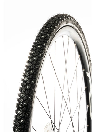 6430020165597