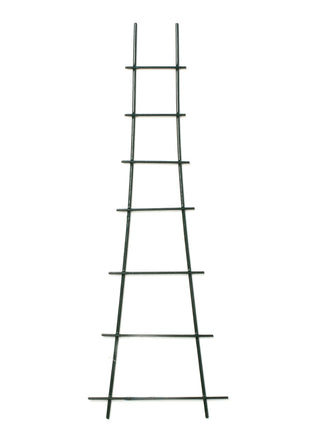 6931239903401