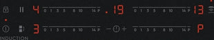 7333394162171