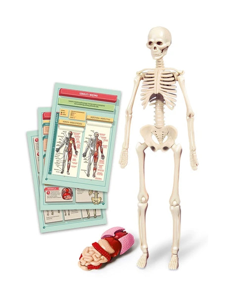 8005125508242