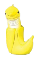 9772499868072