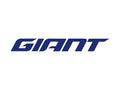 GIANT logo | SOURCE_ID:2942